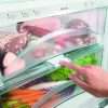 BioFresh Image for SICBN 3356 SICBN 3366 and SIKB 3550