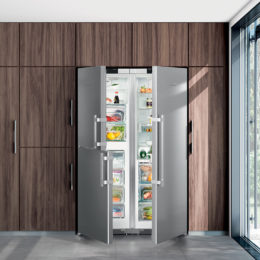 FREESTANDING SIDE BY SIDE FRIDGE