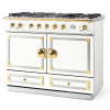 FE1WFEEEF1 CornuFe 110 Range Cooker Pure White Polished Brass and Stainless Steel 8100100